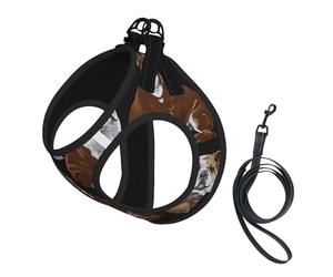 English Bulldogs - Juego de arnés y correa para perros pequeños, chaleco suave ajustable con correas reflectantes de 360° para gatos y cachorros