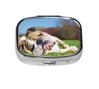 English BullDogs Perros Cansados Césped Mascotas Inglés, Pastillero cuadrado para bolsillo o monedero, pequeño contenedor de pastillas, organizador de pastillas de viaje