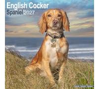 English Cocker Spaniel 2027 Calendar | Square Wall Calendar | Dog Breed Gift | Plastic Free Packaging | by Avonside Publishing