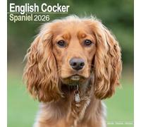 English Cocker Spaniel Calendar 2026 Square Dog Breed Wall Calendar - 16 Month