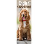 English Cocker Spaniel Slim Calendar 2025 Dog Breed Slimline Calendar - 12 Month