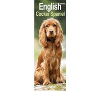 English Cocker Spaniel Slim Calendar 2026 Dog Breed Slimline Calendar - 12 Month