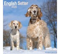 English Setter Calendar 2026 Square Dog Breed Wall Calendar - 16 Month