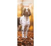 English Springer Spaniel 2025 - Calendario delgado