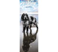 English Springer Spaniel 2027 - Calendario delgado