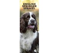 English Springer Spaniel - Calendario de pared 2026, formato delgado de 12 meses, fabricado en Inglaterra