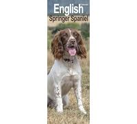 English Springer Spaniel Slim Calendar 2025 Dog Breed Slimline Calendar - 12 Month