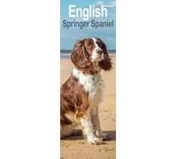 English Springer Spaniel Slim Calendar 2026 Dog Breed Slimline Calendar - 12 Month