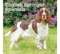 English Springer Spaniels 2027 - 16-Monatskalender: Original BrownTrout-Kalender [Mehrsprachig] [Kalender] (English Springer Spaniels | 2027 12 x 24 ... | BrownTrout | Animals Dog Breeds)
