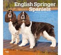 English Springer Spaniels | Calendario mensual cuadrado de pared 2026 de 12 x 24 pulgadas (colgado) | Sin plástico | BrownTrout | Animales razas de perros