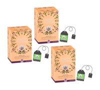 English Tea Shop El | Té Blanco de Coco y Fruta Pasión BIO | Té Blanco Delicado, Dulce Coco y Exótico Maracuja - Caja Eco Box (3 x 20 Filtros)
