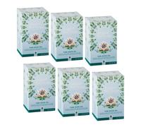 English Tea Shop - Té blanco orgánico puro - 120 Bolsitas de té (240 gr)