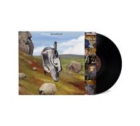 This Could Be Texas [Vinilo]