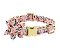 Engraved Dog Collar with Leash Nylon Printed Dog ID Collars Pet Walking Belt for Small Medium Large Dogs Flower Accessory (Orange Large)
