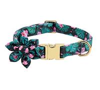 Engraved Dog Collar with Leash Nylon Printed Dog ID Collars Pet Walking Belt for Small Medium Large Dogs Flower Accessory (Green Medium)