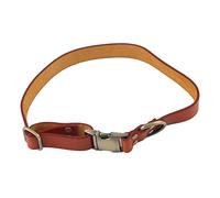 Engraved Leather Dog Collar | Soft Padded Collar for Small/Medium/Large Dogs | Breathable Pet Collar with Nameplate Buckle | Classic & Stylish Design (L)