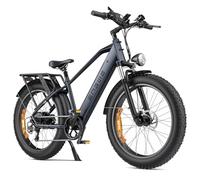 ENGWE E26 Bicicleta Eléctrica para Adultos, 26"x4.0" Fat Tire, Bicicleta de Montaña Eléctrica de 250W, Batería de 48V 16Ah, Alcance de hasta 140KM, 7 velocidades, (High-Step, Galaxia Gris)