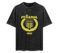 Enigma The Fall of a Rebel Angel Vinyl CD Cover Mens T-Shirt Unisex Black Top tee S