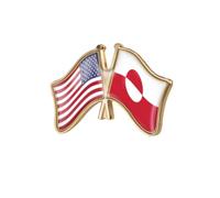 EnigmaGlow Broche de amistad con la mayoría de los países del mundo para hombres y mujeres, 1.3x0.9inch（33x23mm）, Metal, Resina