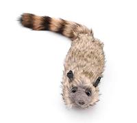 Enjoyer The Rocky Raccoon Magic Robbie Trucos de Magia Escenario Ilusiones Truco Accesorios de Mago Accesorios Divertido Spring Animal Toy