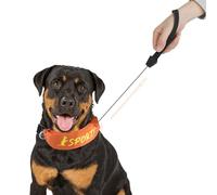 Enjoying Collar de correa retráctil para perro, collar de perro todo en uno, correa retráctil integrada, collar ajustable para perros medianos y grandes, color naranja