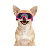 Enjoying Gafas de sol para perros de raza pequeña, protección UV, protección ocular para perros pequeños, resistente al viento, a prueba de polvo, antivaho, transpirables, correas ajustables, color