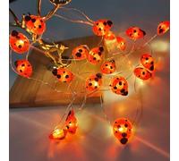 ENLACE Guirnalda de luces de mariquita, 2 m, 20 ledes, luminosas, para bodas, fiestas, jardín, decoración navideña, decoración de primavera, exterior e interior