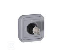 Legrand Interruptor de llave Ronis 2 posiciones gris composable Plexo 069534L