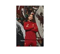 ENQIAOZHANG Lienzos De Fotos 30x50cm Virgil Van Dijk Canvas Wall Art Soggiorno Poster Camera da letto Decor Painting Senza Cornice