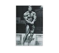 ENQIAOZHANG Pintura De La Lona 50x70cm Arnold Schwarzenegger-265 Poster e Wall Art Modern Family camera da letto Decor Senza Cornice