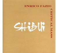 Enrico Fazio Critical Mass - Shibut