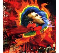 Enrico Ruggeri - Italia Rock (incl. Live Recordings)