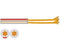 Enrollador Cable Columna Transparente 2x 2.00mm² (100 mts) - FONESTAR