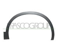 Ensanchamiento Guardabarros Prasco DS7101582 Premium para Nissan