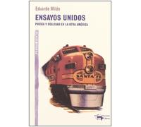 Ensayos unidos: Poesía y realidad en la otra América: 19 (A. Machado Libros)