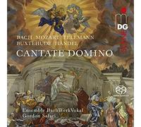 Ensemble BachWerkVokal - Bach| Mozart| Telemann: Cantatas And Motets