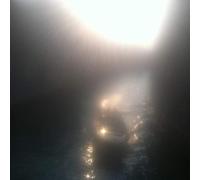 Ensemble Economique - Blossoms In Red [VINYL] [Vinilo]