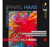 Ensemble Villa Musica - Ensemble Villa Musica