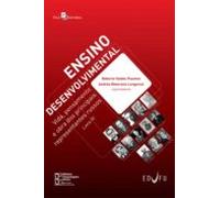 Ensino Desenvolvimental (ebook)