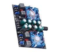 Entatial Módulo de Amplificación de Audio, Placa Amplificadora de Potencia Resistencia SMD 10Hz-21KHz Buena Disipación de Calor con Ventilador de Refrigeración para Equipos Multimedia