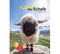 Entdecke die Schafe: 70