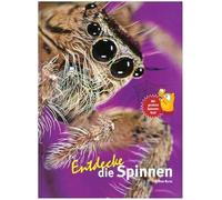 Entdecke die Spinnen: 32