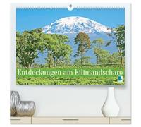 Entdeckungen am Kilimandscharo (hochwertiger Premium Wandkalender 2026 DIN A2 quer), Kunstdruck in Hochglanz: Kilimandscharo: Schnee auf dem Kibo Gipfel in Afrika