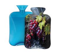 Entemne Bolsa de agua caliente de 2 litros, pintura artística de uvas, bolsa de agua caliente con funda, bolsa de terapia reutilizable para aliviar el dolor, calambres menstruales, dolor muscular