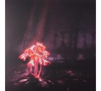 Enter Shikari - Kiss For The Whole World - Pink Sparkle Colored Vinyl [Vinilo]