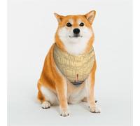 Enter The Maze of Thinking - Bufanda triangular para mascotas, accesorio para mascotas, pañuelo lavable para mascotas, para niñas, niños, perros o gatos, talla S
