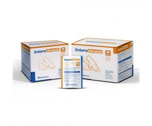 Entero-Chronic - Soporte intestinal para perros y gatos - Bioiberica - Cantidad: 30 saquetas