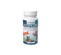ENTERO360 - Suplemento intestinal para perros y gatos - 24 mil millones de UFC/kg Biosprint® - Con inulina, FOS y petinas, restaura la flora bacteriana, detiene las heces blandas y mejora la digestión