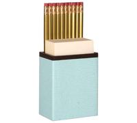 Entertaining with Caspari Lizard Pencil and Paper Caddy, Robin's Egg Blue