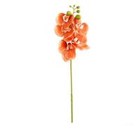 Entgoinggo Artificia Phalaenopsis Flores decorativas, paquete de 5 flores artificiales de orquídea bonsái, plantas de tallo para centros de mesa, sala de estar, decoración del hogar (naranja)